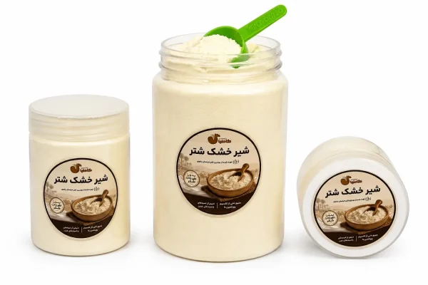 شیر خشک شتر چیست؟ راهنمای خرید، آماده‌سازی و نگهداری